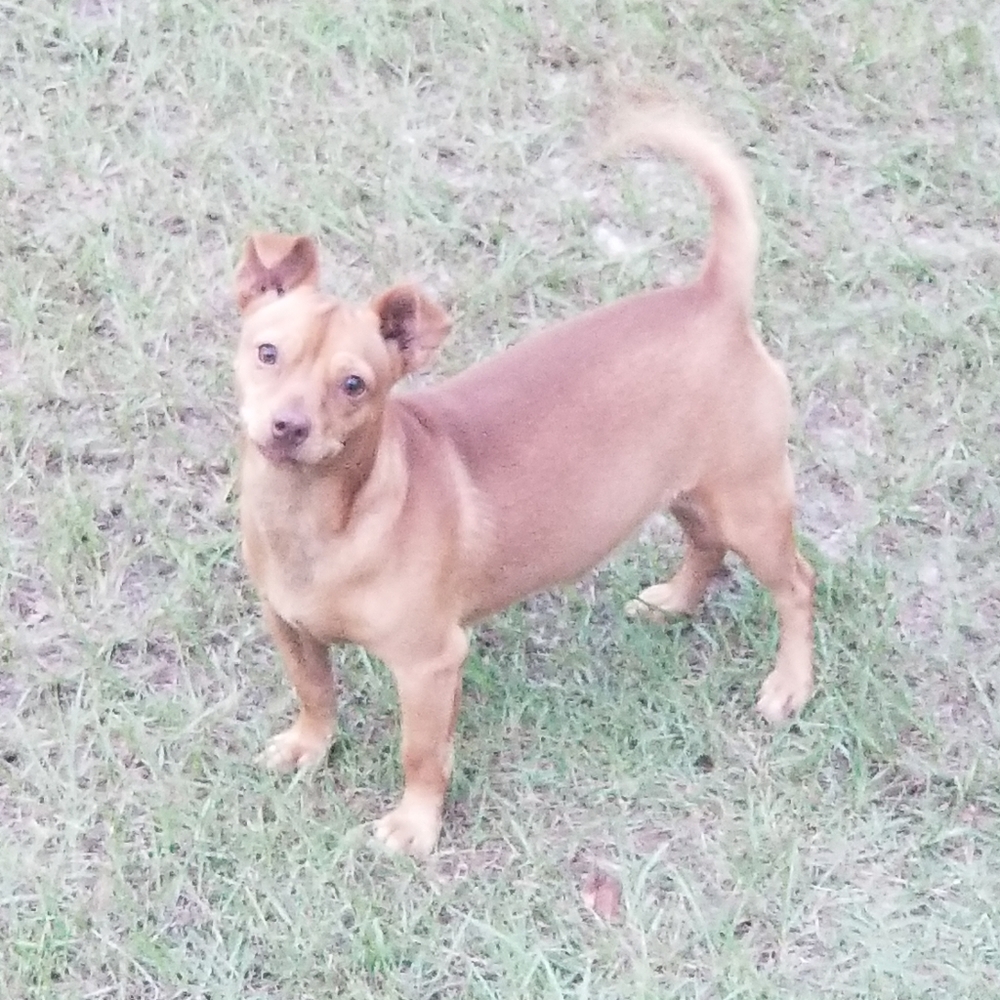 Meet your Posher, Vickie